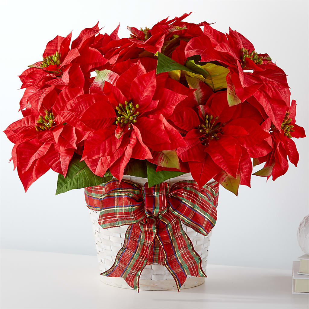 Happiest Holidays Poinsettia – De Voe Floral, Lena IL