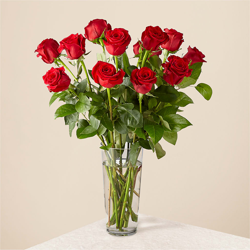 Long Stem Red Rose Bouquet – De Voe Floral, Lena IL