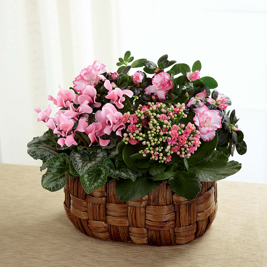 Pink Assortment – De Voe Floral, Lena IL