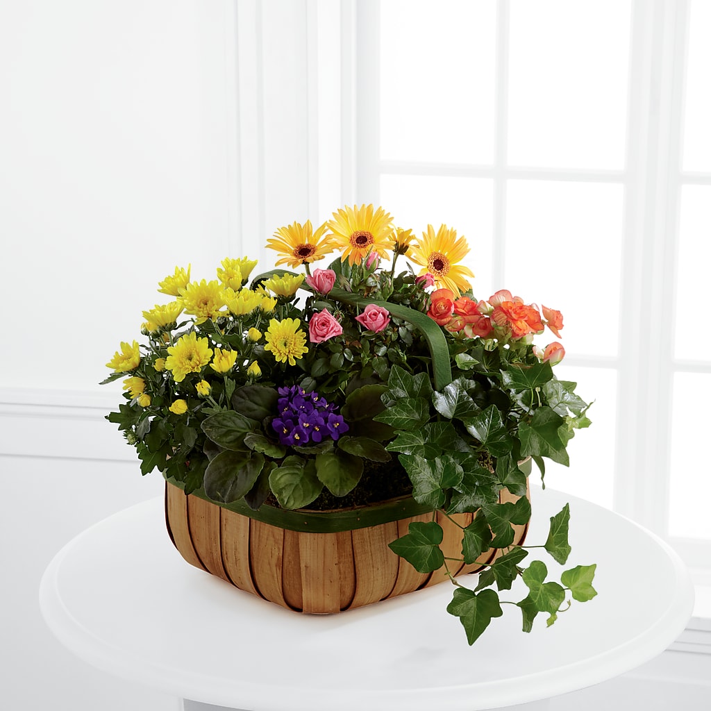 Gentle Blossoms Basket – De Voe Floral, Lena IL