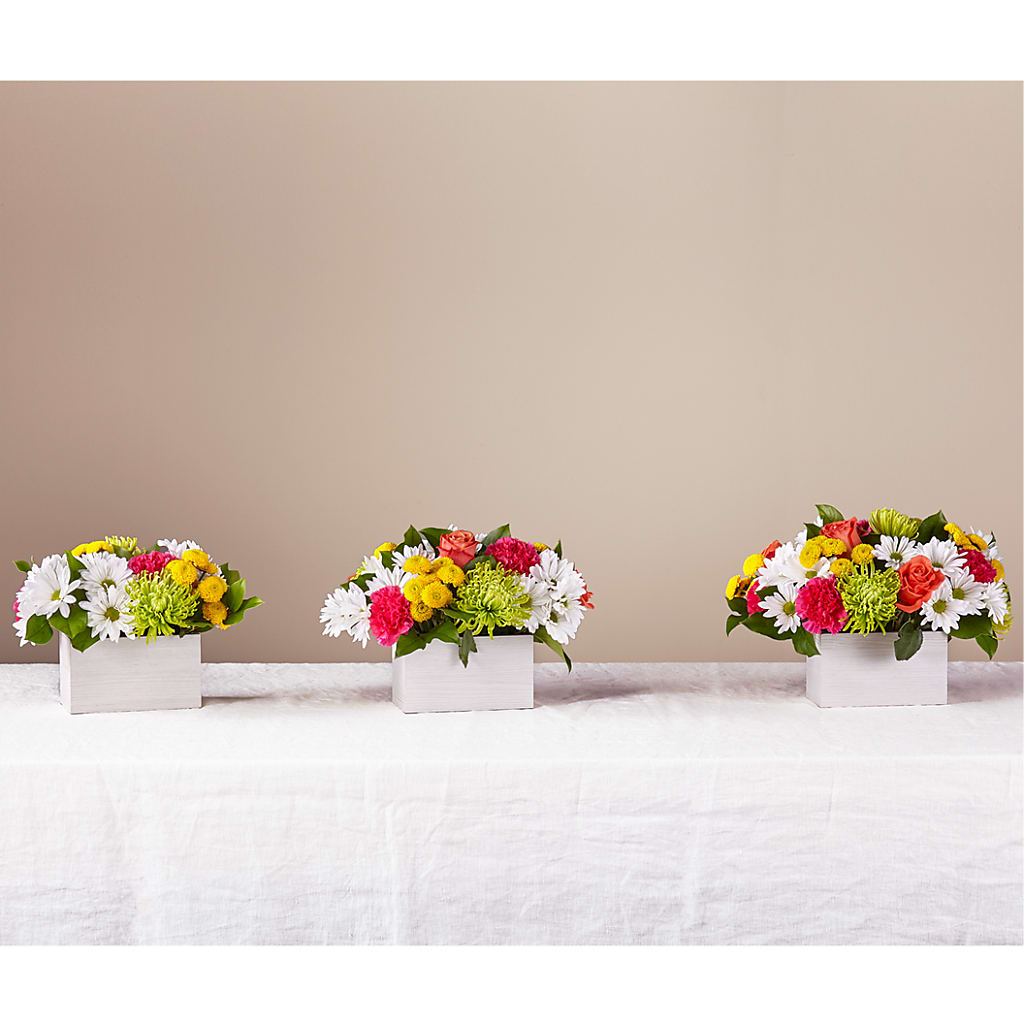 Sorbet Bouquet – De Voe Floral, Lena IL