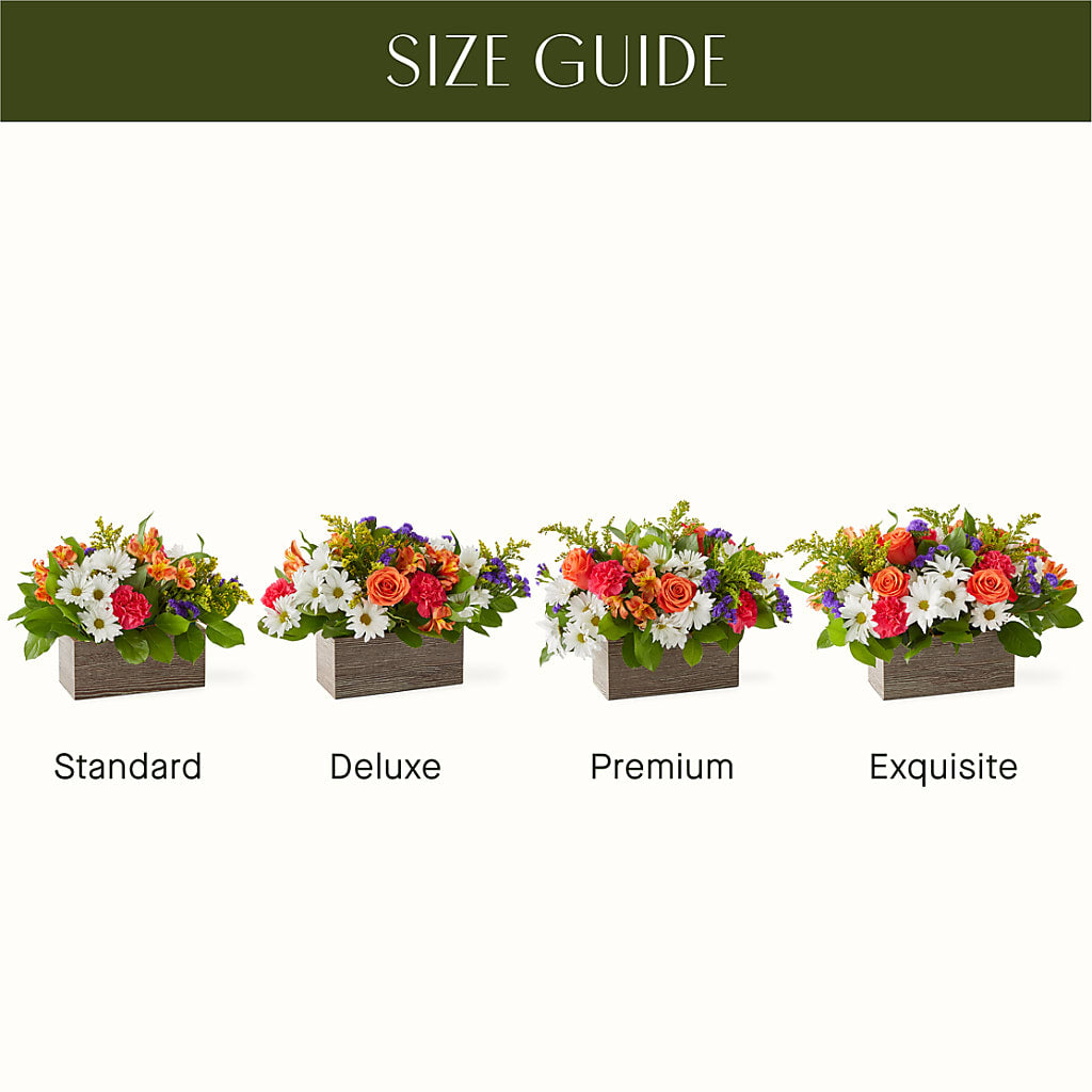 Oopsie Daisy Box Bouquet – De Voe Floral, Lena IL