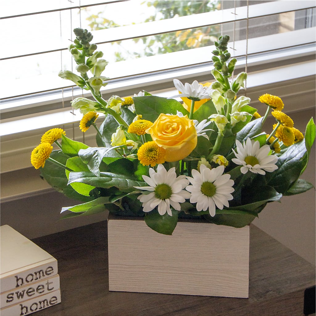 Sun Salutation Box Bouquet – De Voe Floral, Lena IL