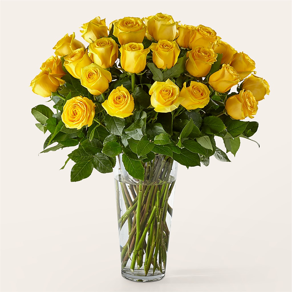 Long Stem Yellow Rose Bouquet – De Voe Floral, Lena IL