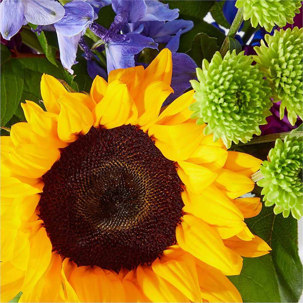 Catching Rays Bouquet – De Voe Floral, Lena IL