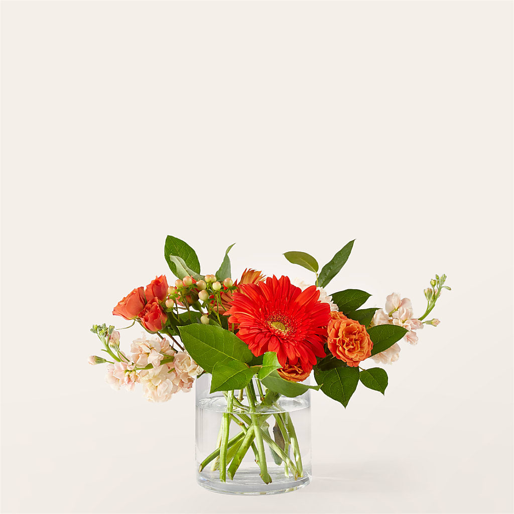 Paloma Please Bouquet – De Voe Floral, Lena IL