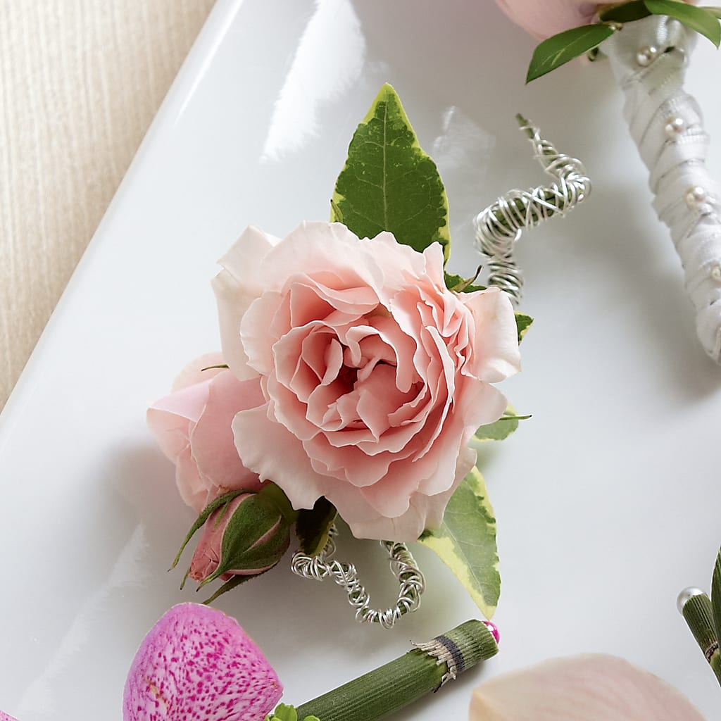Pink Spray Rose Boutonniere – De Voe Floral, Lena IL