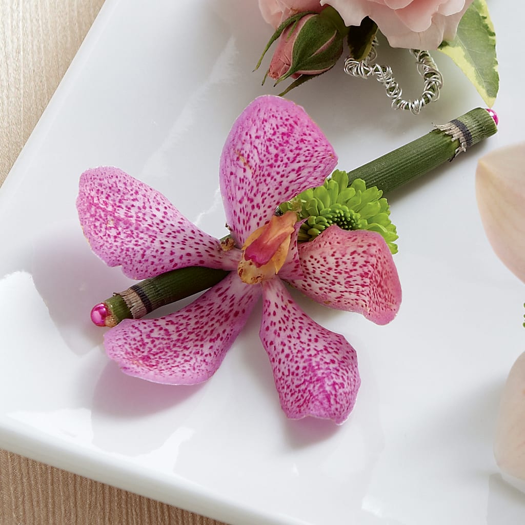 Pink Mokara Boutonniere – De Voe Floral, Lena IL