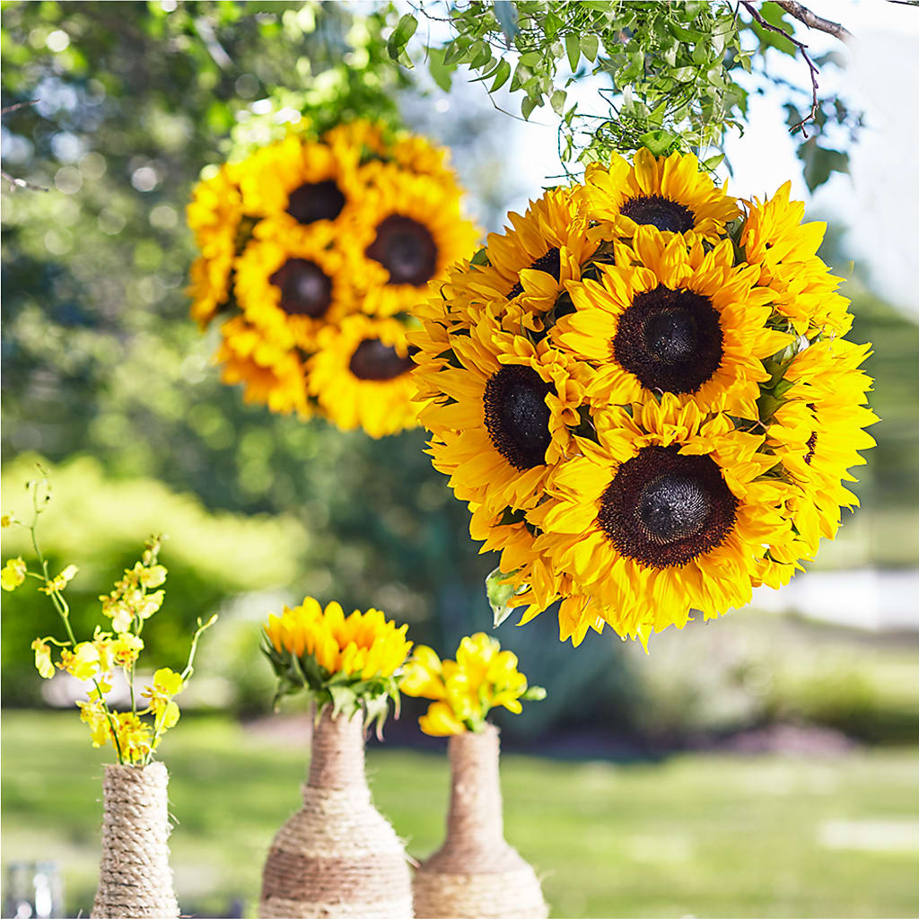 Sublime Garden Hanging Arrangement – De Voe Floral, Lena IL