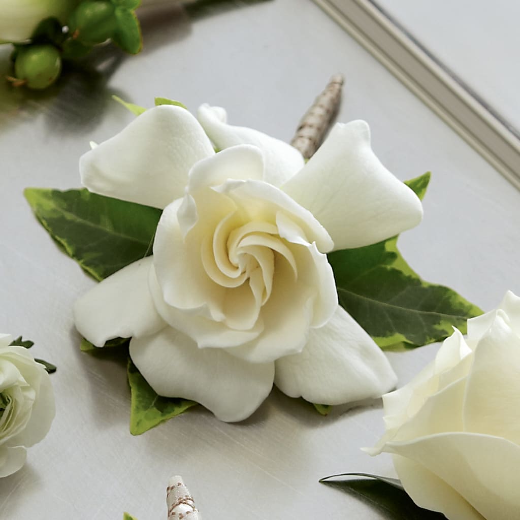 Gardenia Boutonniere – De Voe Floral, Lena IL