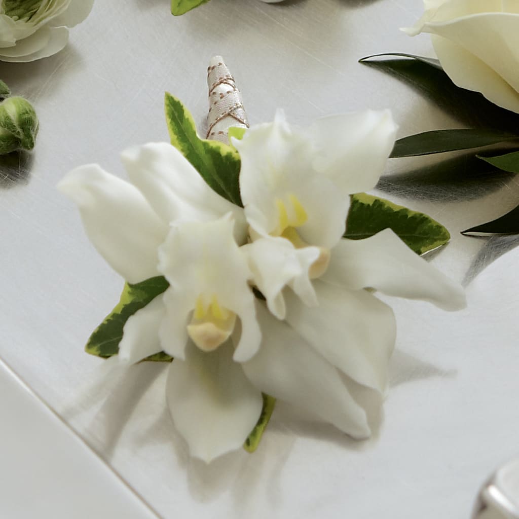 White Mini Cymbidium Boutonniere – De Voe Floral, Lena IL