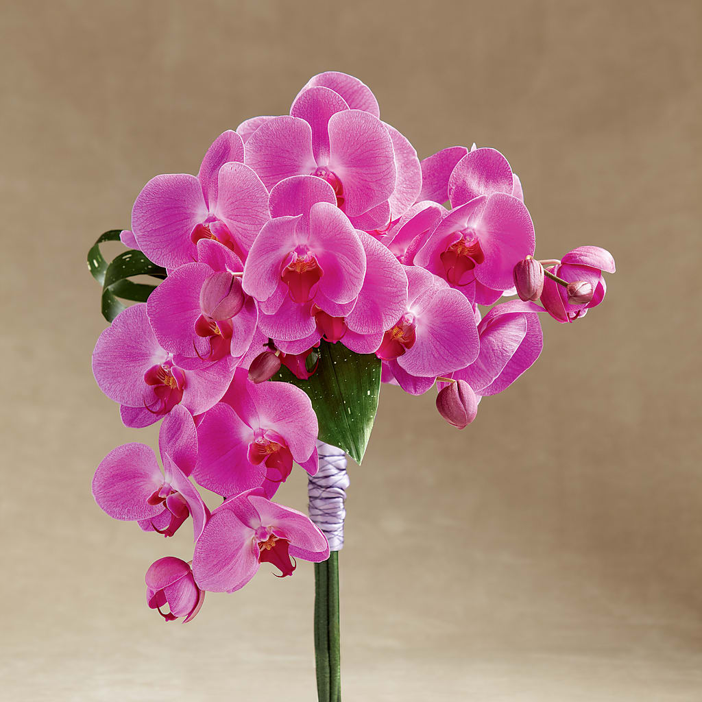 Glorious Bouquet – De Voe Floral, Lena IL