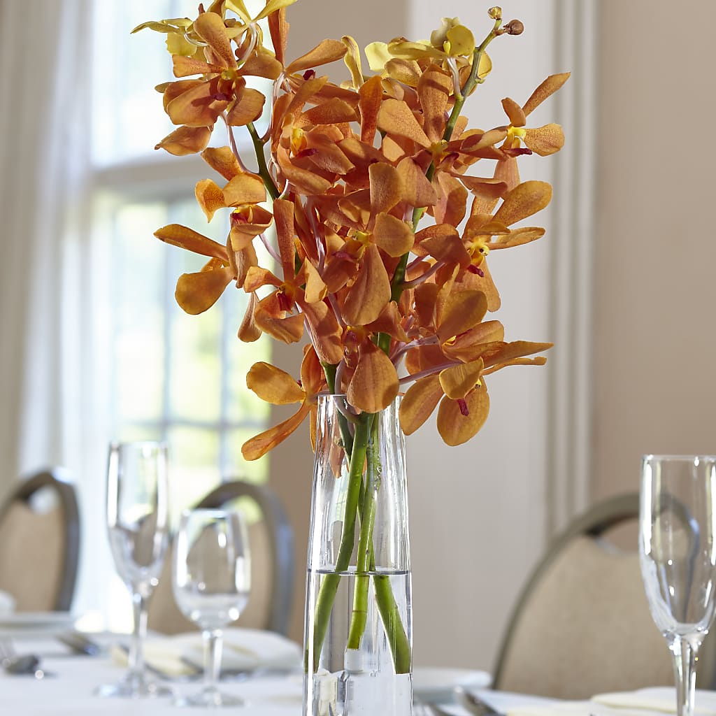 Orange Mokara Bud Vase – De Voe Floral, Lena IL