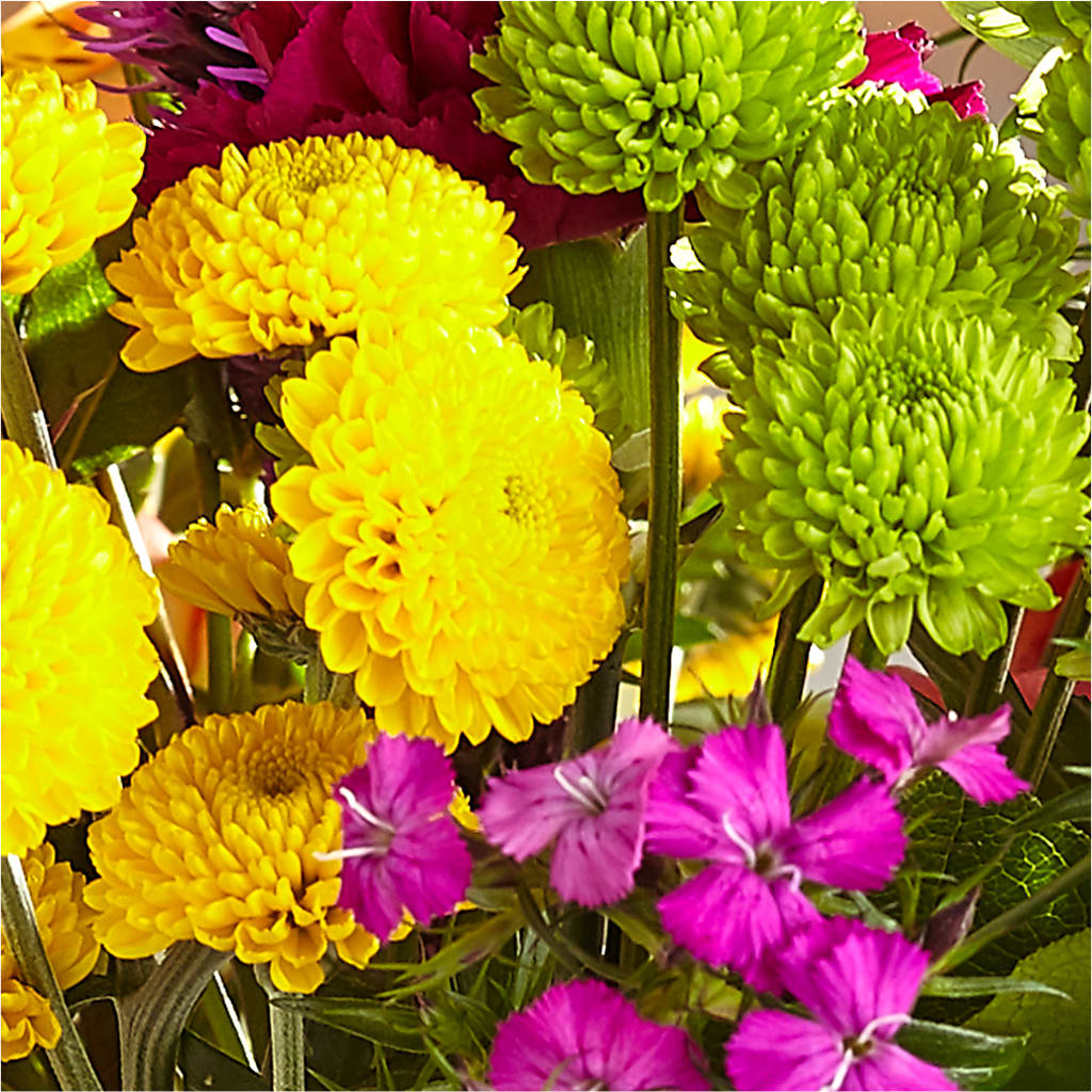 Bold & Bright – A Florist Original –  De Voe Floral, Lena IL