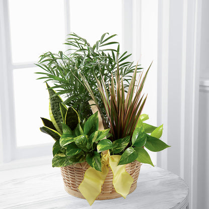 French Garden –  De Voe Floral, Lena IL