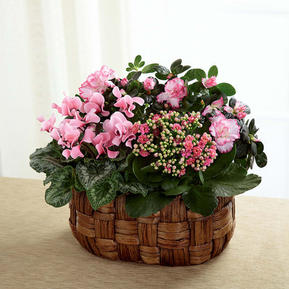 Pink Assortment –  De Voe Floral, Lena IL