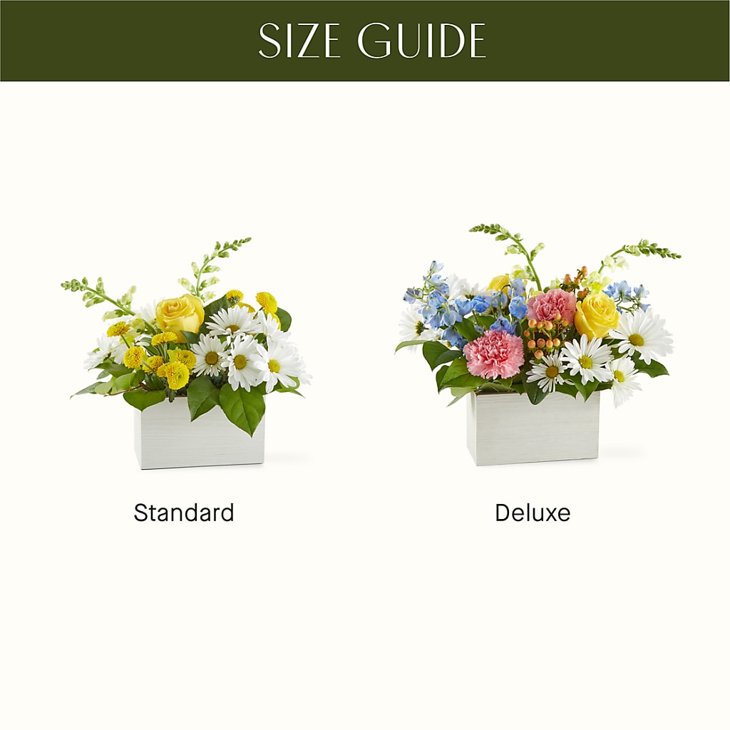 Sun Salutation Box Bouquet –  De Voe Floral, Lena IL
