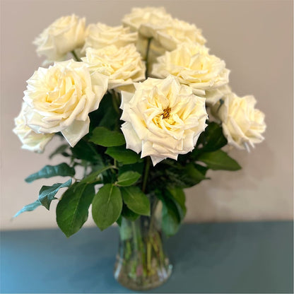 Long Stem Yellow Rose Bouquet –  De Voe Floral, Lena IL