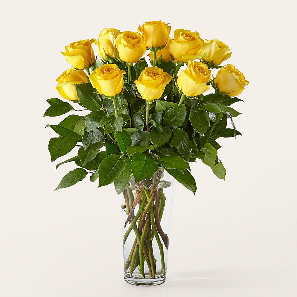 Long Stem Yellow Rose Bouquet –  De Voe Floral, Lena IL