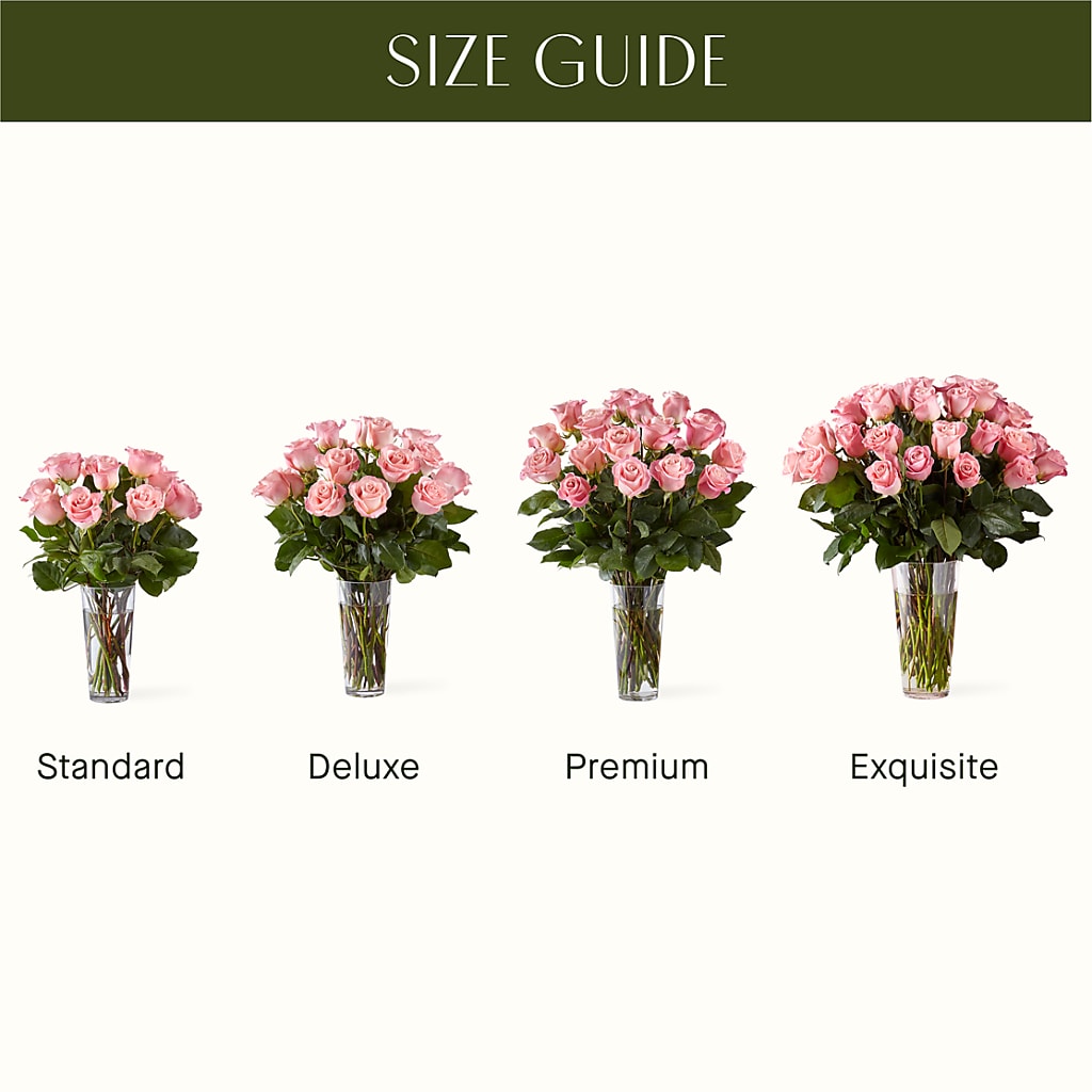 Long Stem Pink Rose Bouquet –  De Voe Floral, Lena IL