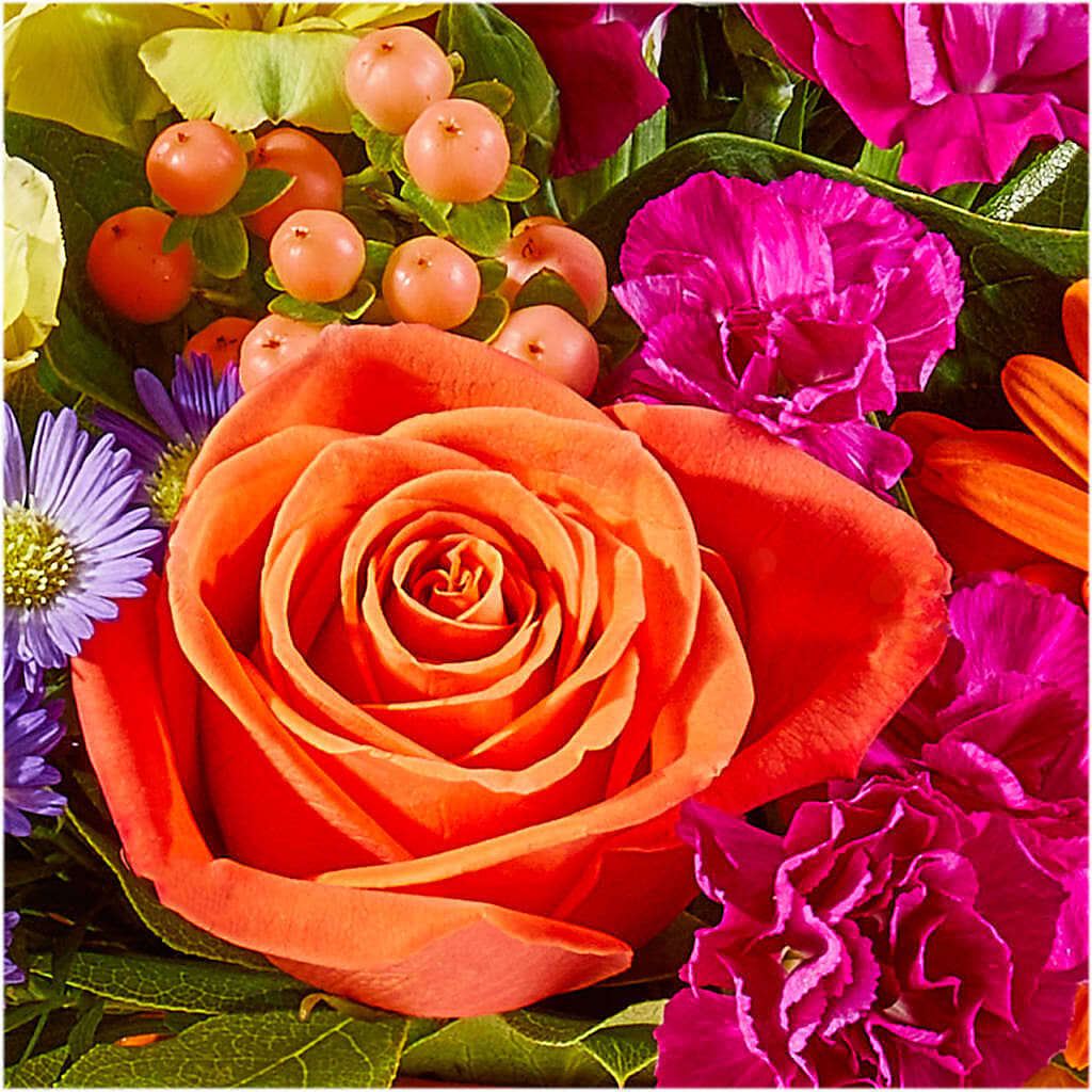 Tricks & Treats Pumpkin –  De Voe Floral, Lena IL