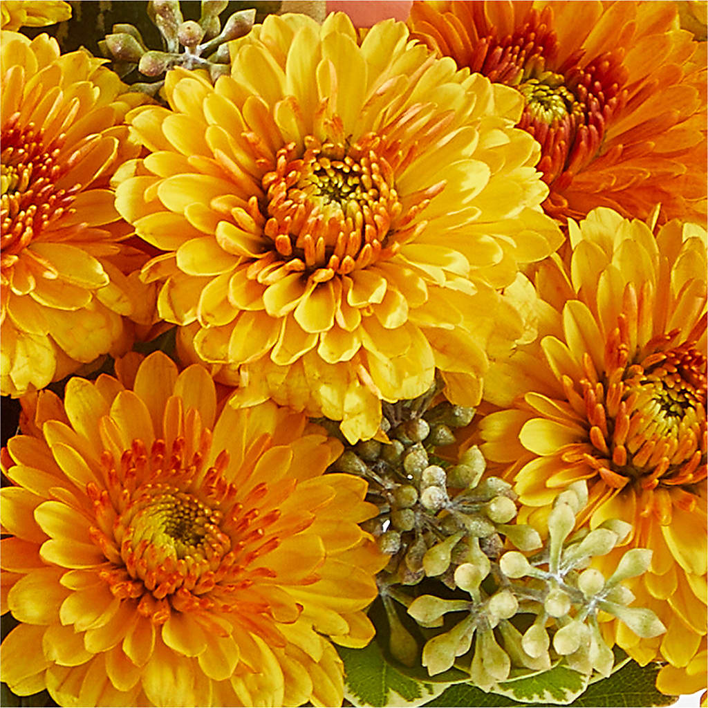 Peachy Pumpkin –  De Voe Floral, Lena IL