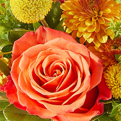 Gourdgeous Pumpkin –  De Voe Floral, Lena IL