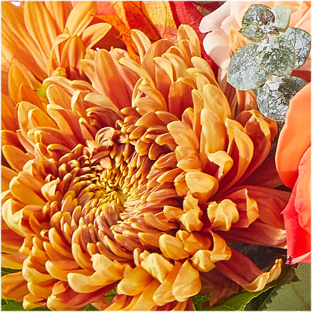 Scenic Route Bouquet –  De Voe Floral, Lena IL