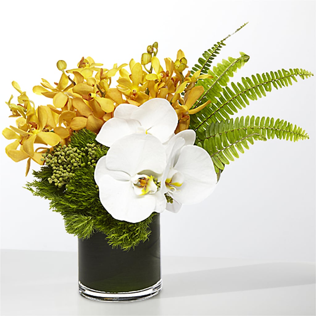 The Tropics –  De Voe Floral, Lena IL