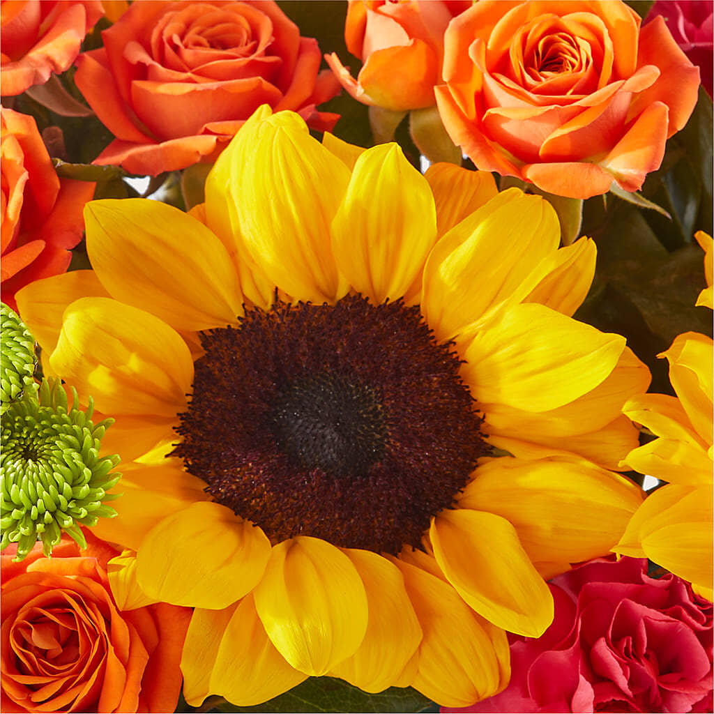 Sun-drenched Blooms Box Bouquet –  De Voe Floral, Lena IL