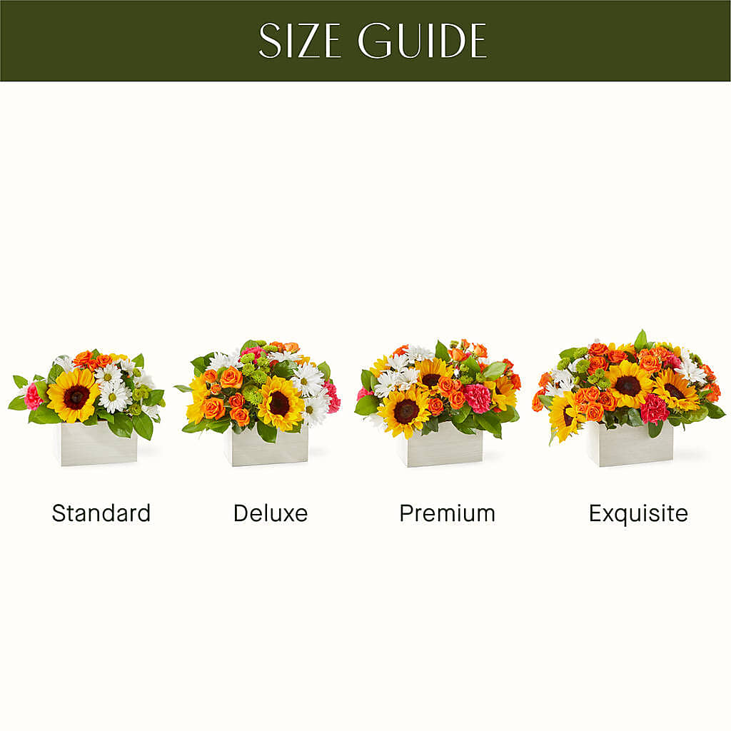 Sun-drenched Blooms Box Bouquet –  De Voe Floral, Lena IL