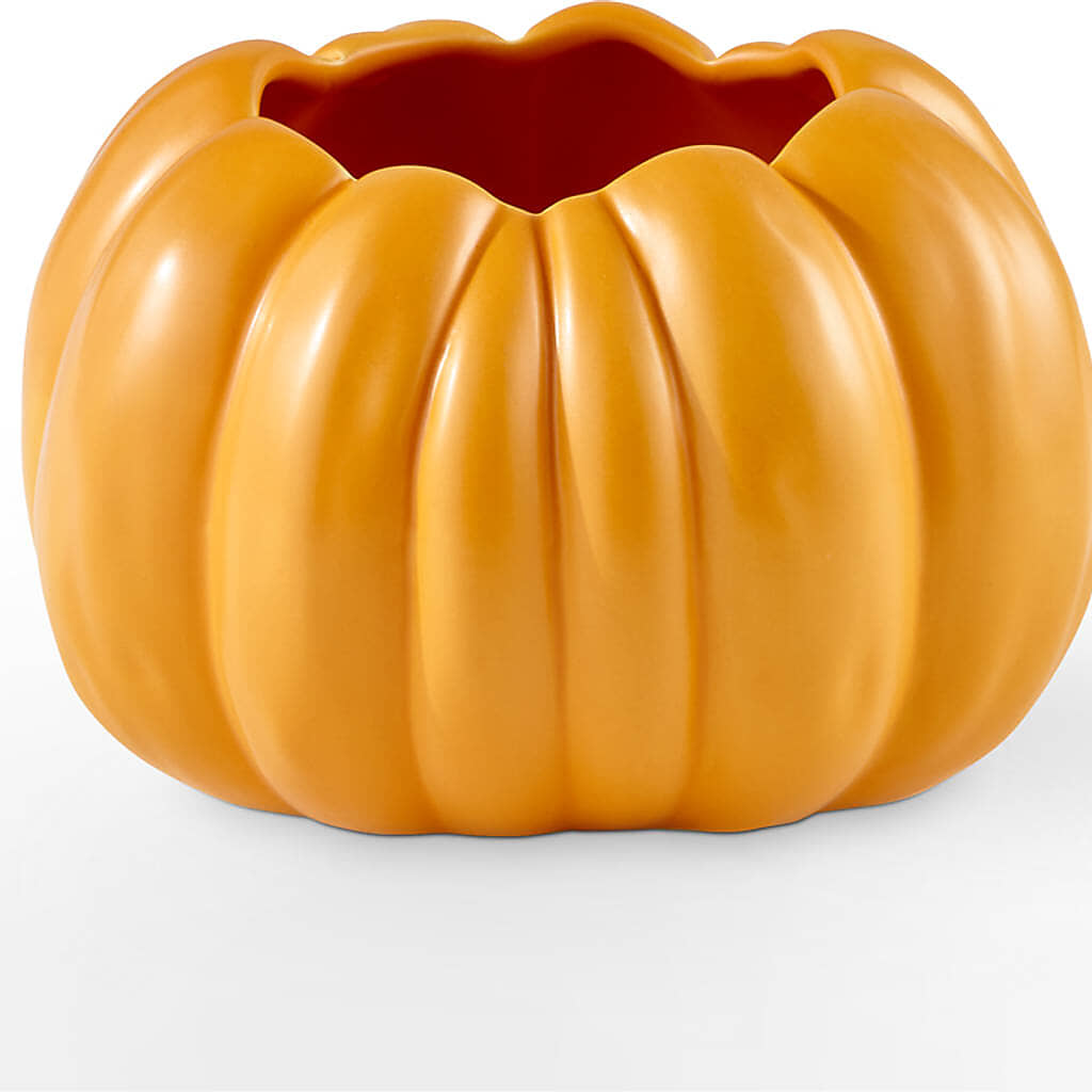 Golden Gourd Pumpkin Bouquet –  De Voe Floral, Lena IL