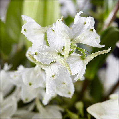 Classic Ivory – A Florist Original –  De Voe Floral, Lena IL