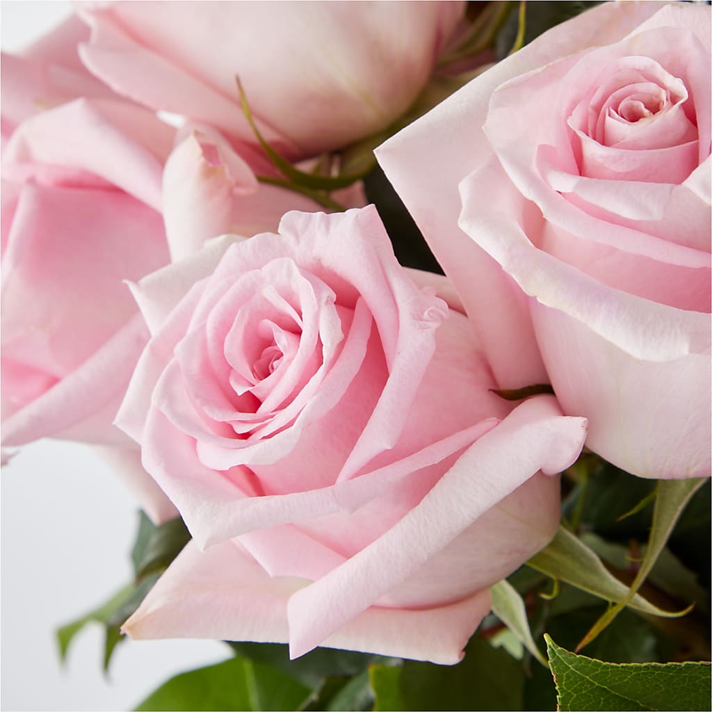 Picture Perfect Pink Rose Bouquet –  De Voe Floral, Lena IL