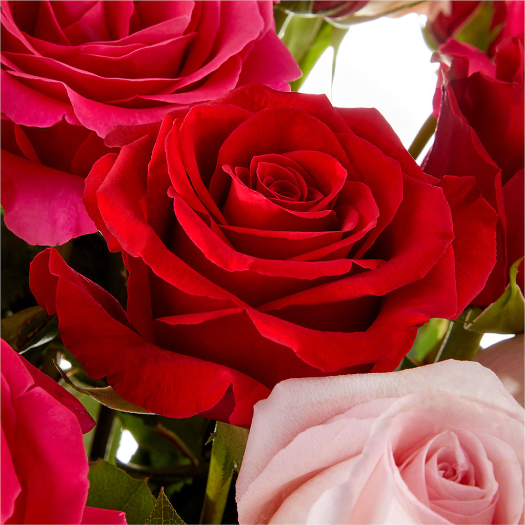 Love Notes Rose Bouquet –  De Voe Floral, Lena IL