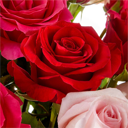 Love Notes Rose Bouquet –  De Voe Floral, Lena IL