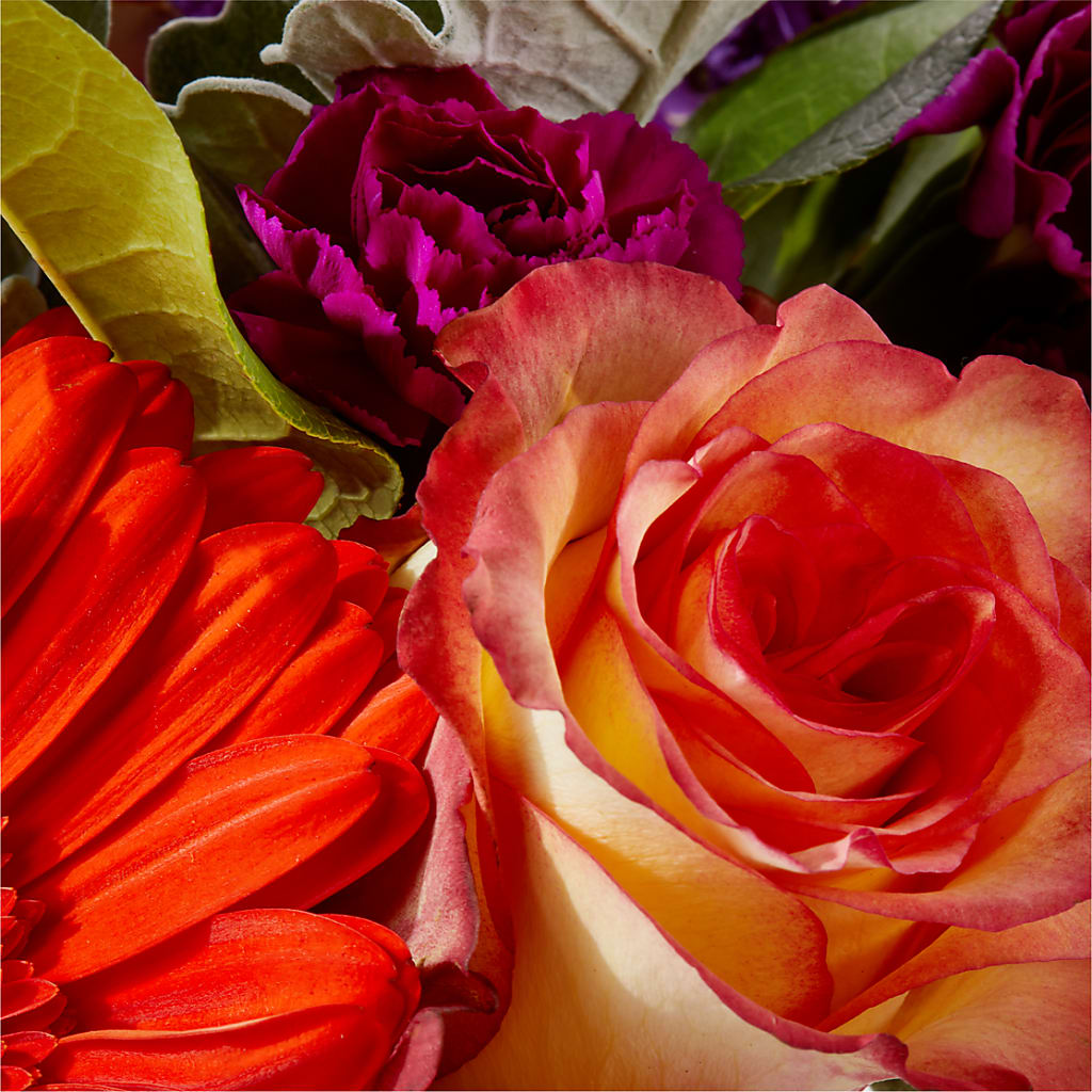 Sangria Bouquet –  De Voe Floral, Lena IL