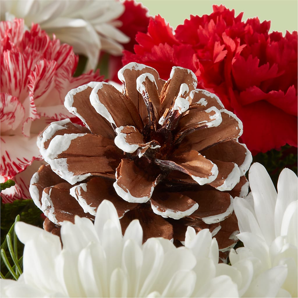 Candy Cane Lane Bouquet –  De Voe Floral, Lena IL