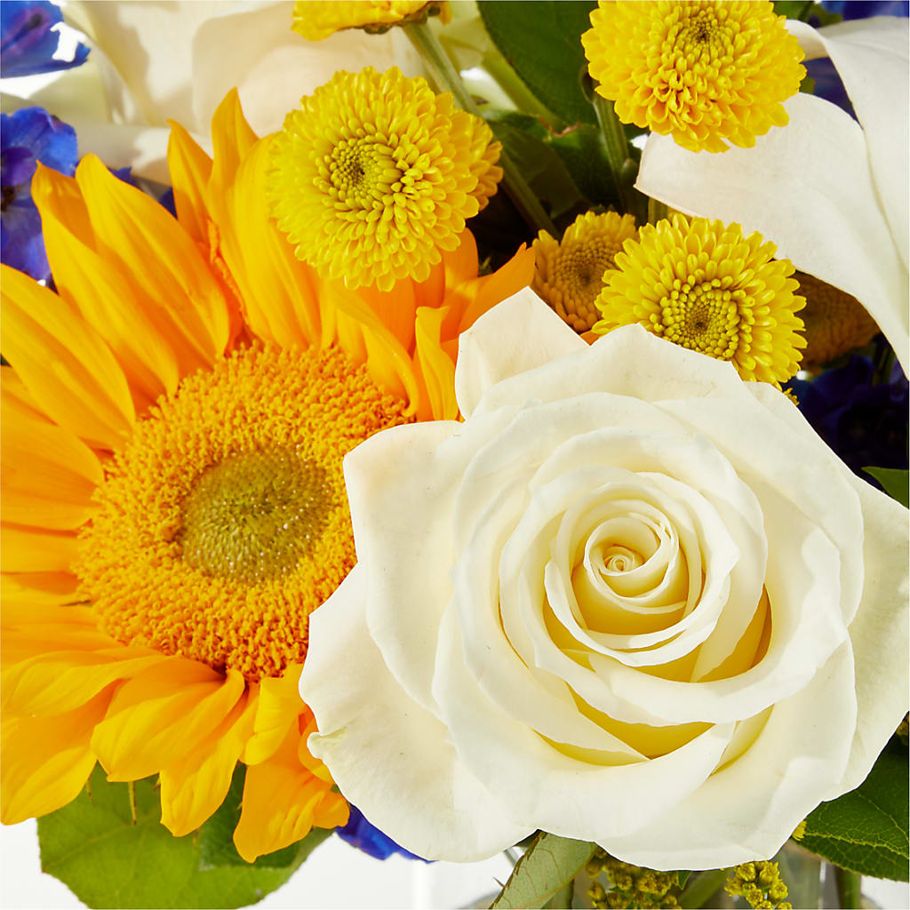 Stargazing Bouquet –  De Voe Floral, Lena IL