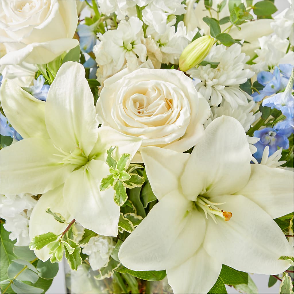 Peace of Mind Bouquet –  De Voe Floral, Lena IL
