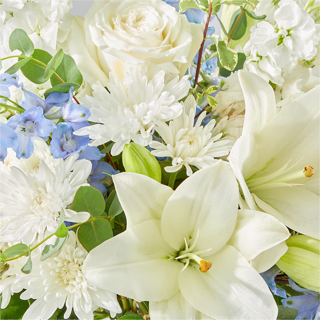 Peace of Mind Bouquet –  De Voe Floral, Lena IL