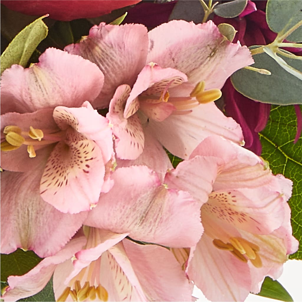 Berry Cobbler Bouquet –  De Voe Floral, Lena IL