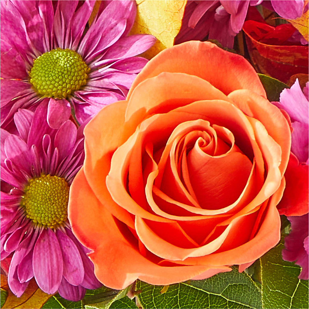 Mum's the Word Bouquet –  De Voe Floral, Lena IL