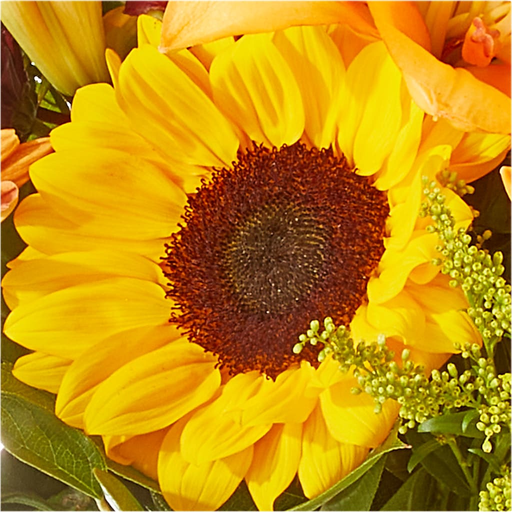 Seasons Change Bouquet –  De Voe Floral, Lena IL