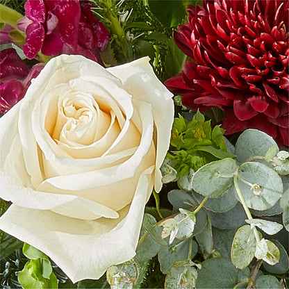 Cranberry Fizz Bouquet –  De Voe Floral, Lena IL