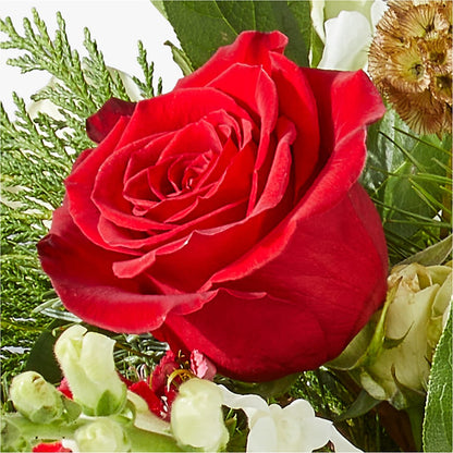 Deck the Halls Bouquet –  De Voe Floral, Lena IL