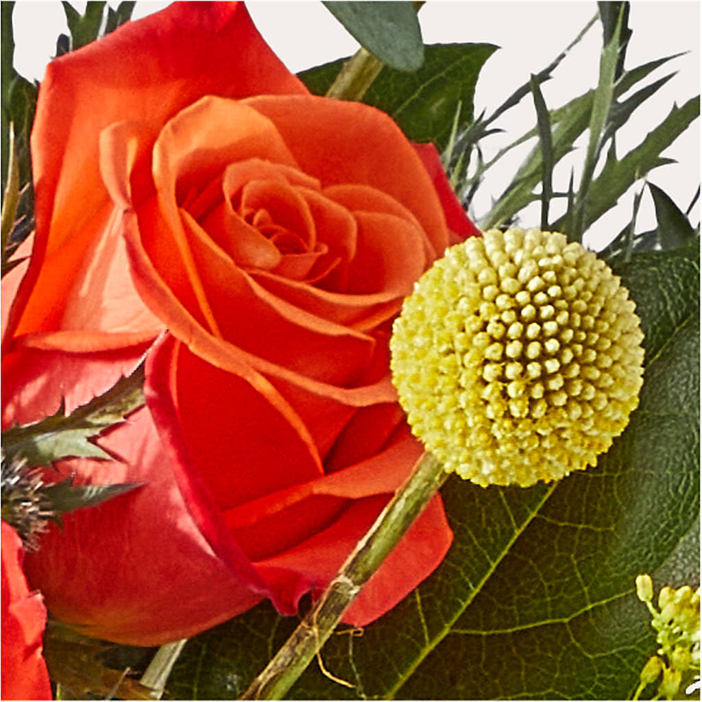 Disco Bouquet –  De Voe Floral, Lena IL