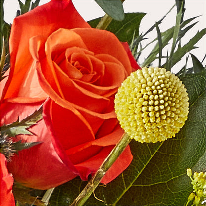 Disco Bouquet –  De Voe Floral, Lena IL