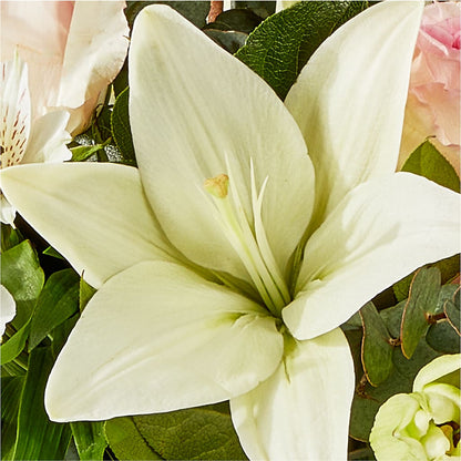 Ballet Slippers Bouquet –  De Voe Floral, Lena IL