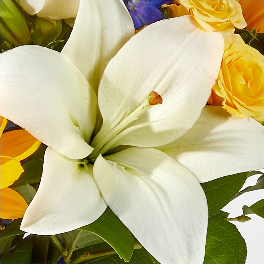 Wonderfully Sunny Bouquet –  De Voe Floral, Lena IL